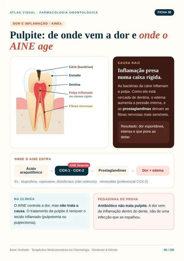Ficha do Atlas