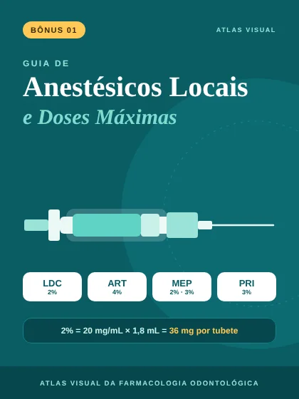 Capa do bônus 1